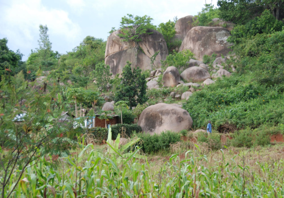 Screen-shot-2014-10-29-at-11.39.52-AM-600x4002