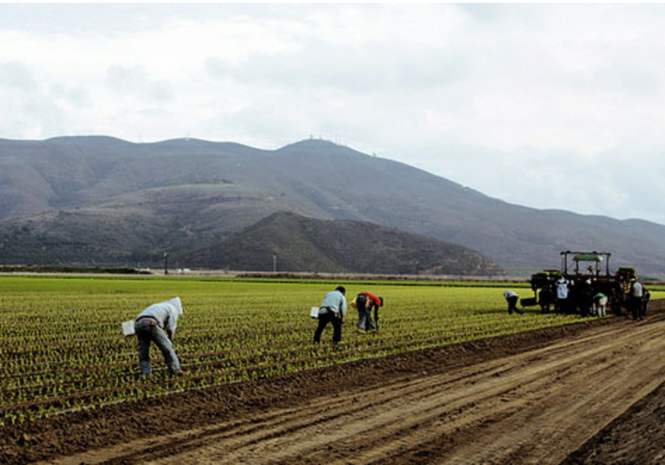 oxnard-california-agriculture-thumb-640xauto-6109